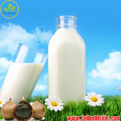 Sữa tỏi đen - sự kết hợp hoàn hảo để bảo vệ sức khỏe