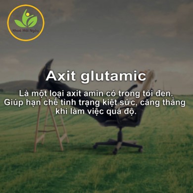 Tác dụng của Axit Glutamic có trong tỏi đen Đất Việt